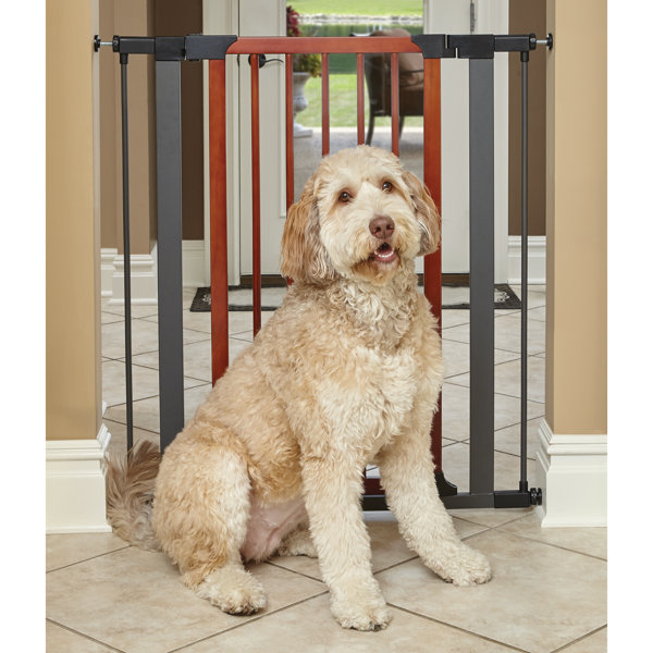 Midwest pet gate hotsell